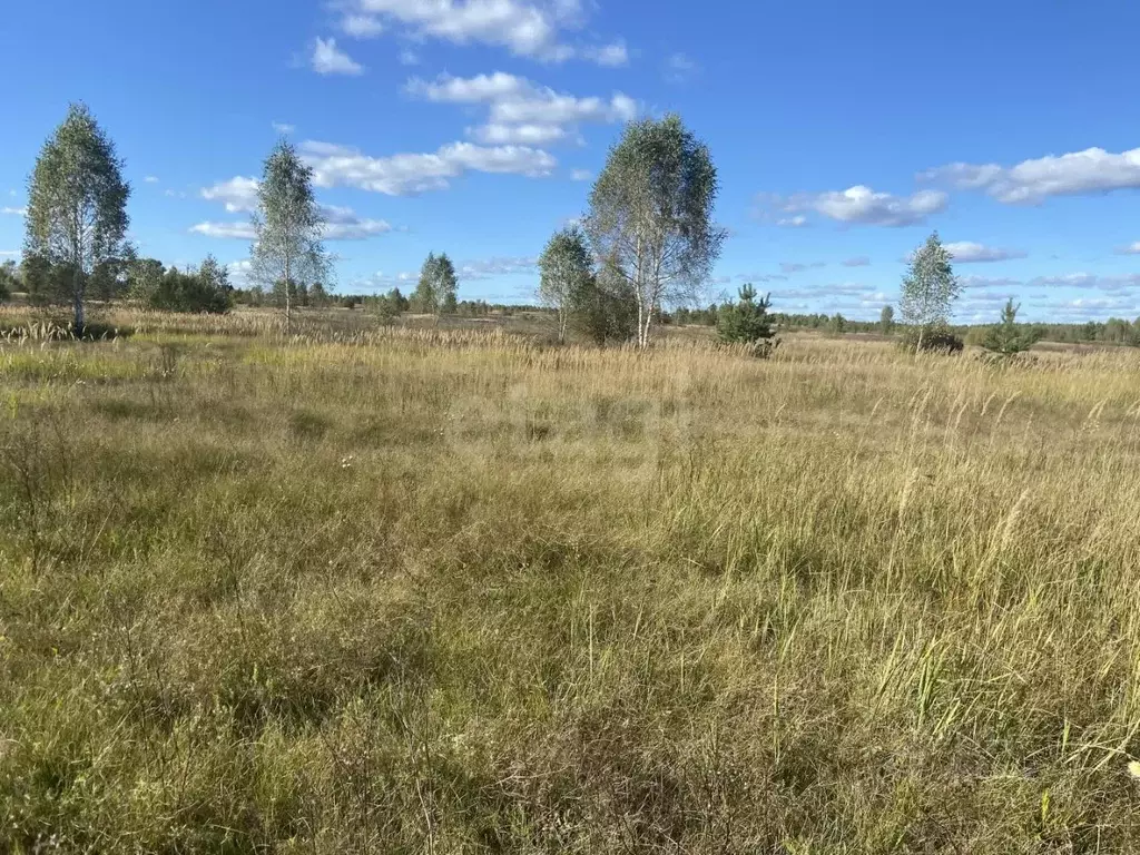 Участок в Марий Эл, Килемарский муниципальный округ, д. Мазикино  ... - Фото 2
