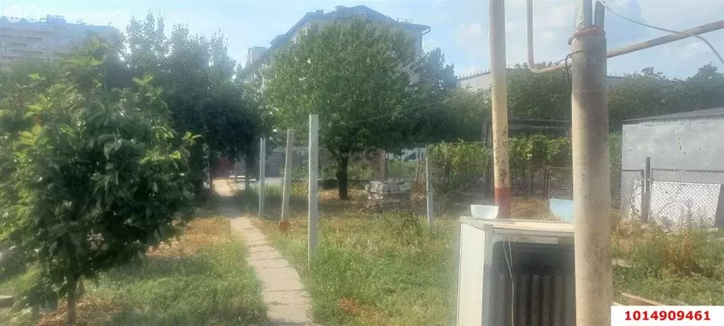 Дом в Краснодар, улица 1 Мая, 529/1 (31.8 м) - Фото 2