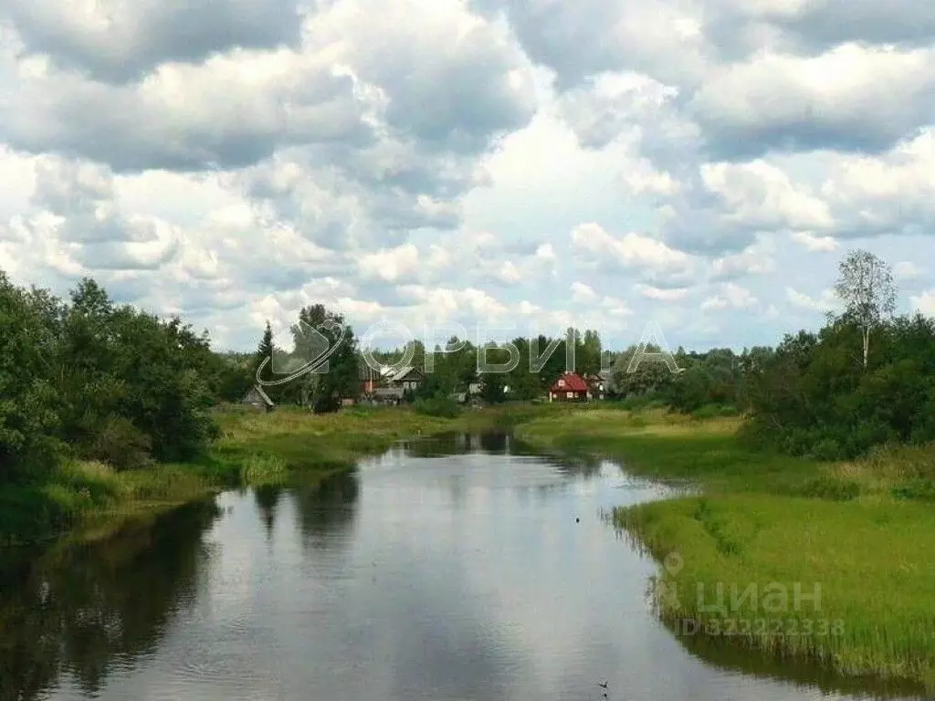 Участок в Свердловская область, Тугулымский муниципальный округ, с. ... - Фото 1