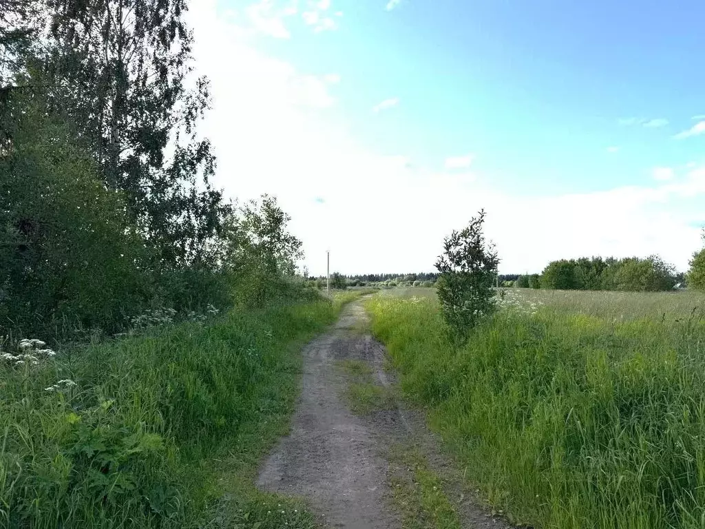 Участок в Вологодская область, Великоустюгский муниципальный округ, ... - Фото 1