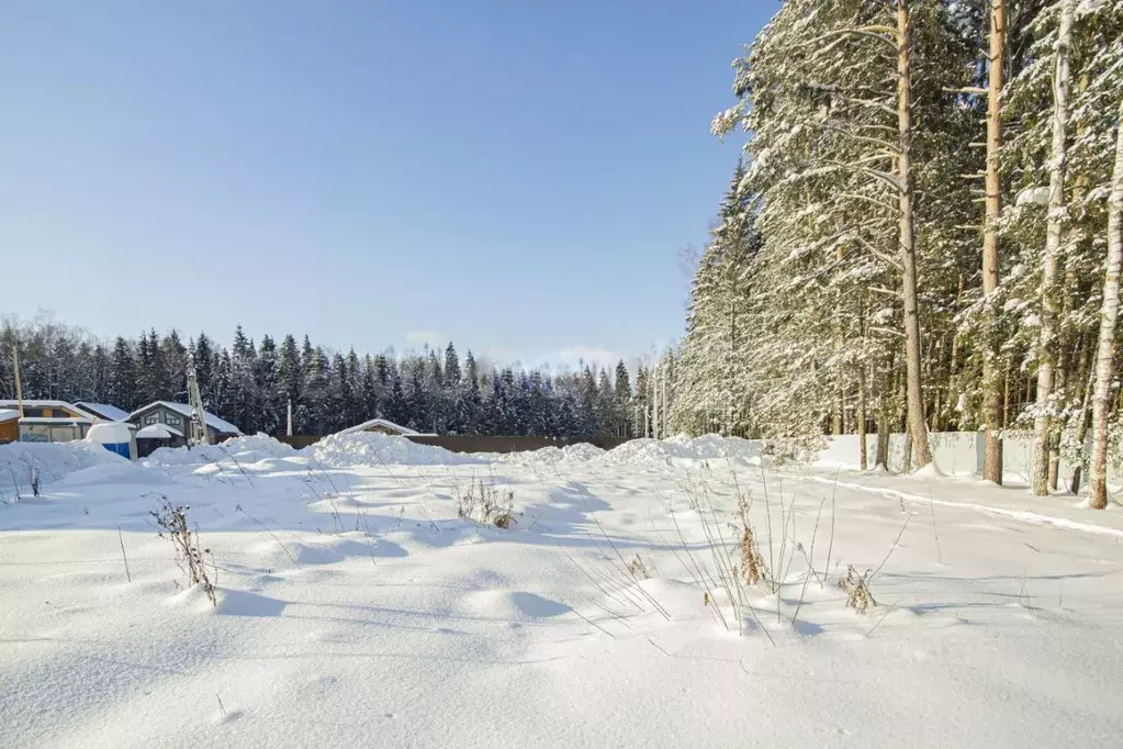 Участок в Московская область, Наро-Фоминский городской округ, Околица ... - Фото 1