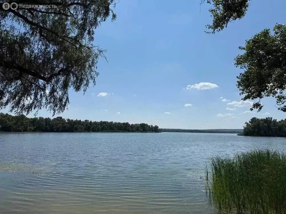 Участок в Новоникольское, улица Селезнёва, 29 (16 м) - Фото 1