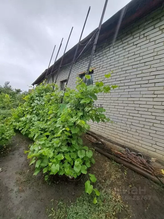 Дом в Курганская область, Кетовский муниципальный округ, Иволга-24 СНТ ... - Фото 1