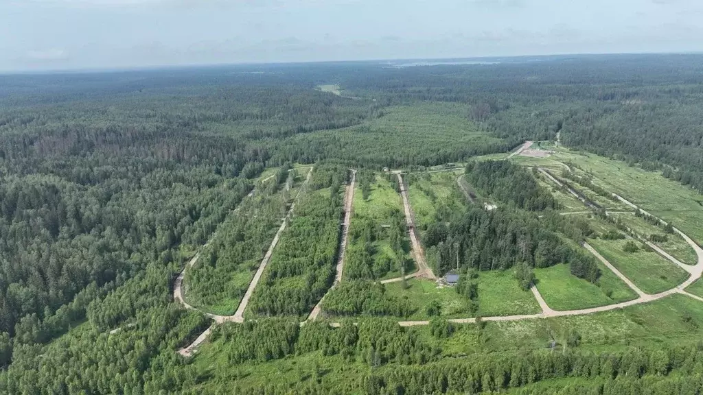 Участок в Ленинградская область, Приозерский район, Раздольевское ... - Фото 2