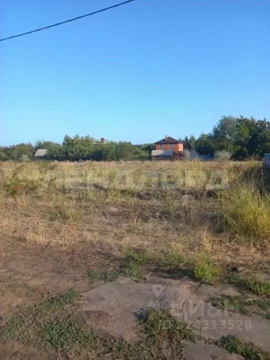 Участок в Ростовская область, Октябрьский район, Персиановское с/пос, ... - Фото 2