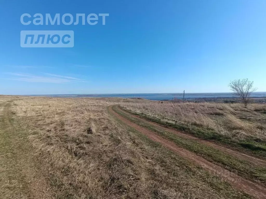 Участок в Удмуртия, Каракулинский район, д. Усть-Бельск Родниковая ул. ... - Фото 1