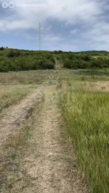 Участок в Ставропольский край, Шпаковский муниципальный округ, хутор ... - Фото 1