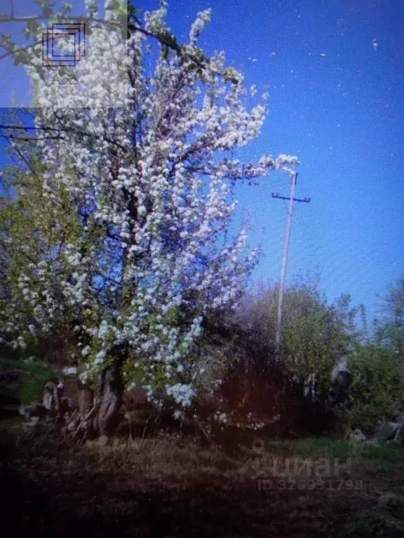 Дом в Алтайский край, Барнаул тракт Змеиногорский, 89В (25 м) - Фото 2