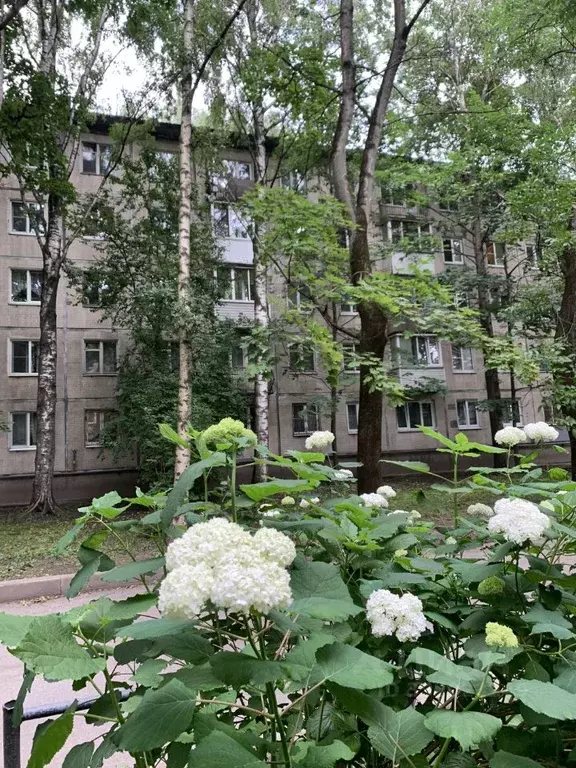 2-к кв. Санкт-Петербург Гранитная ул., 44 (45.8 м) - Фото 1