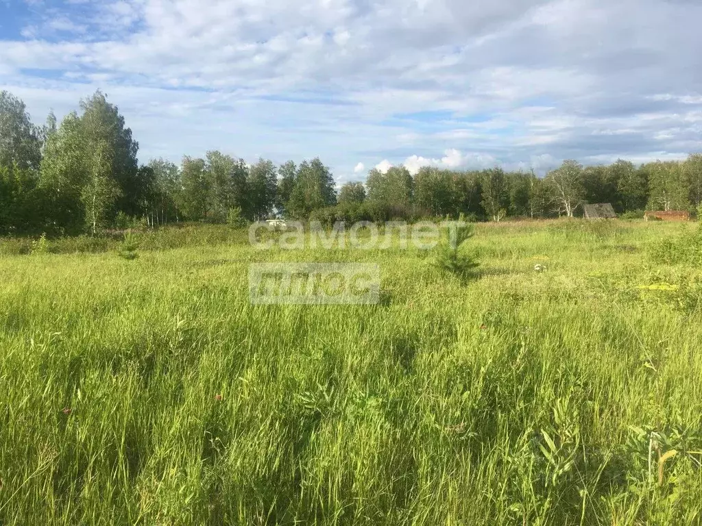 Участок в Тюменская область, Ялуторовский район, Березка СНТ  (15.0 ... - Фото 1