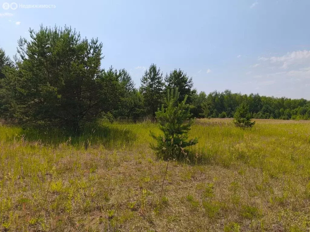 Участок в Московская область, Раменский муниципальный округ, ... - Фото 2