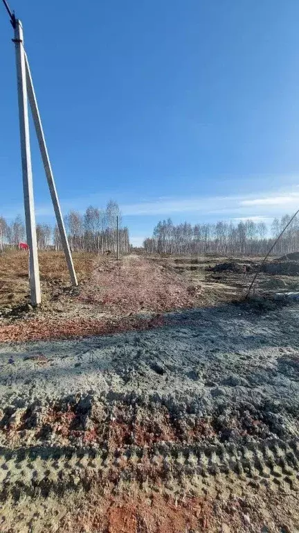 Участок в Тюменская область, Нижнетавдинский район, Строитель ТСН  ... - Фото 0