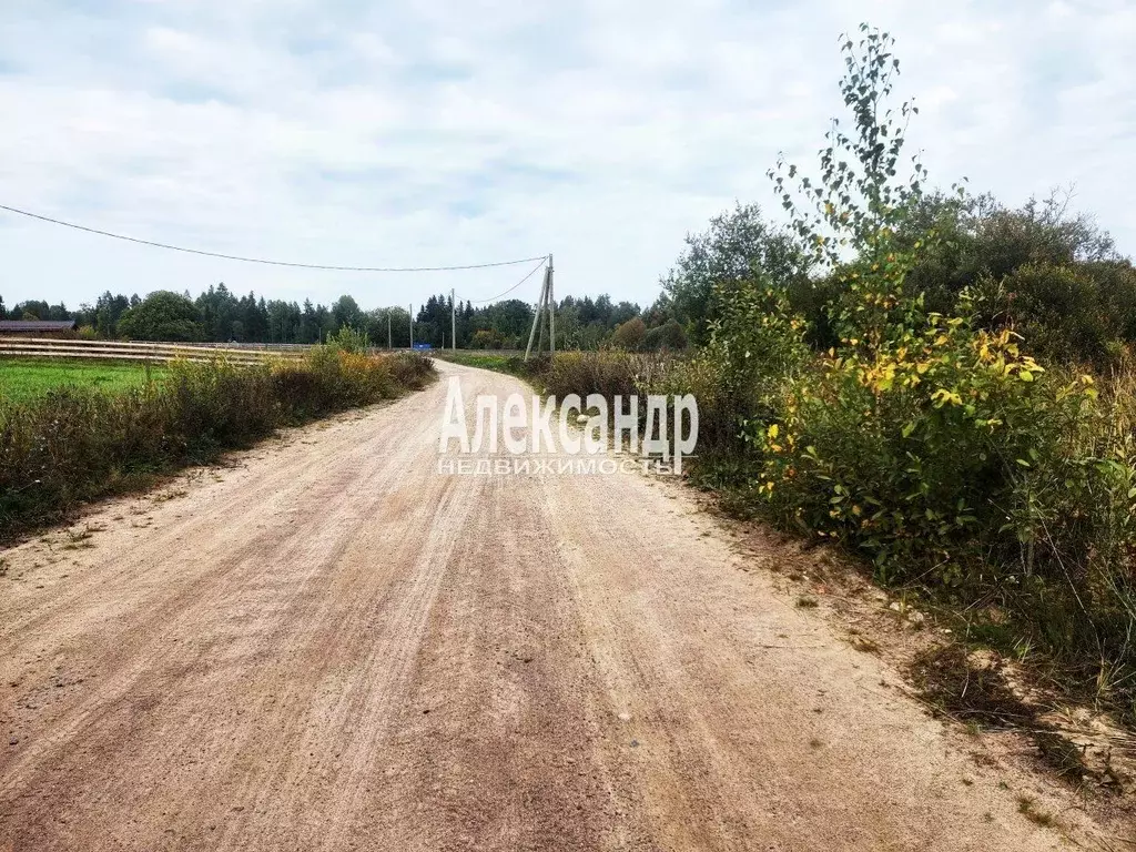 Участок в Ленинградская область, Приозерский район, Ларионовское ... - Фото 1