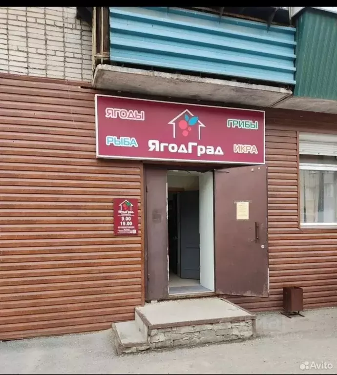 Помещение свободного назначения в Курганская область, Курган ул. ... - Фото 1