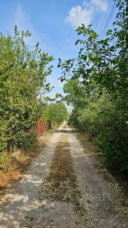 Участок в Крым, Симферопольский район, с. Трудовое, СТ Цветовод СНТ ... - Фото 1