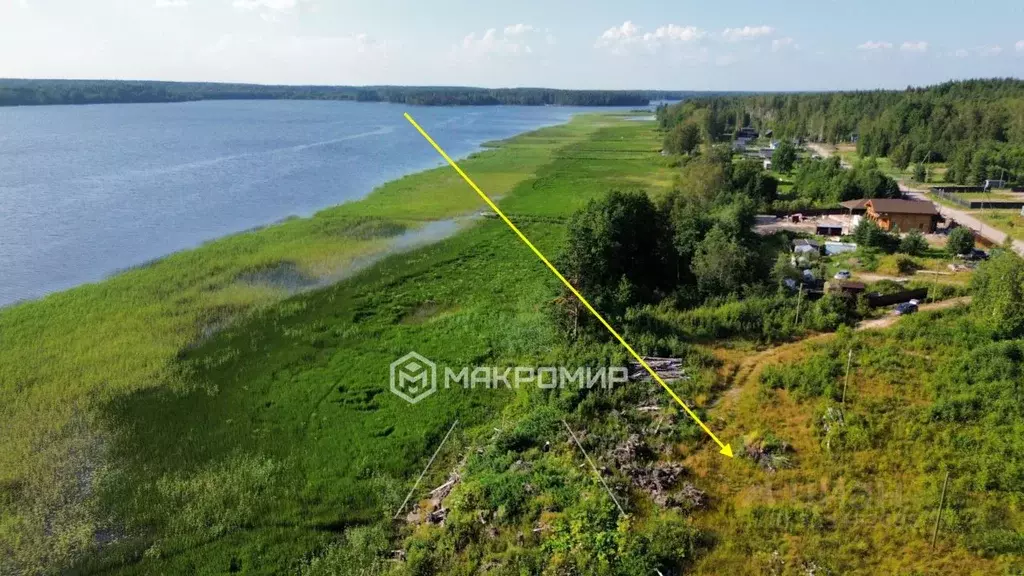 Участок в Ленинградская область, Выборгский район, Приморское ... - Фото 1