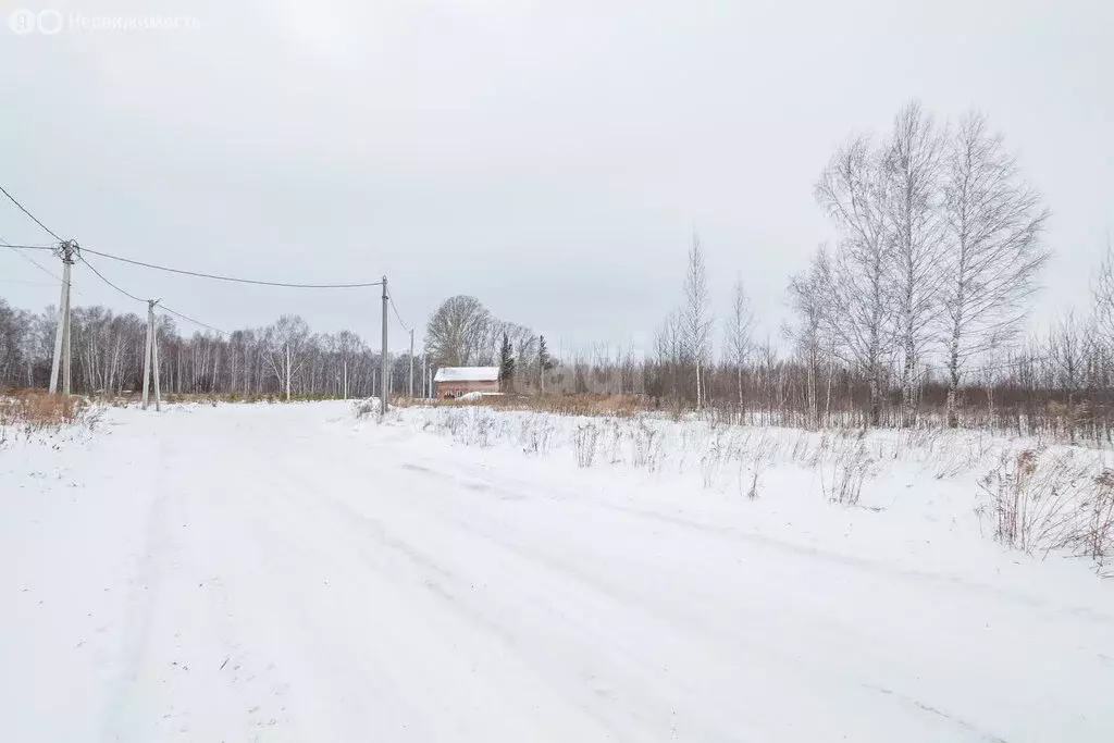 Участок в Новосибирский район, Барышевский сельсовет, посёлок Двуречье ... - Фото 1