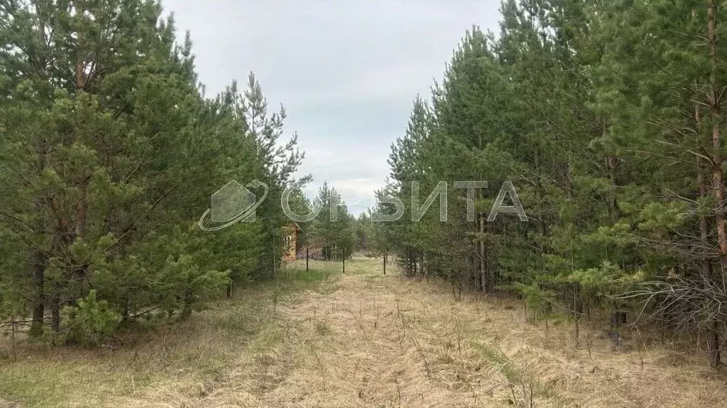 Участок в Свердловская область, Тугулым пгт  (15.0 сот.) - Фото 0