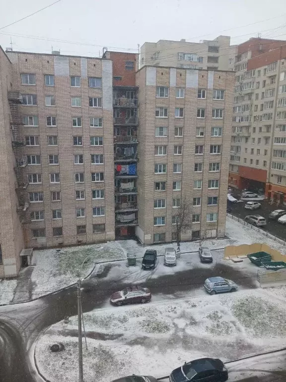 Комната Санкт-Петербург Авангардная ул., 31 (12.0 м) - Фото 0