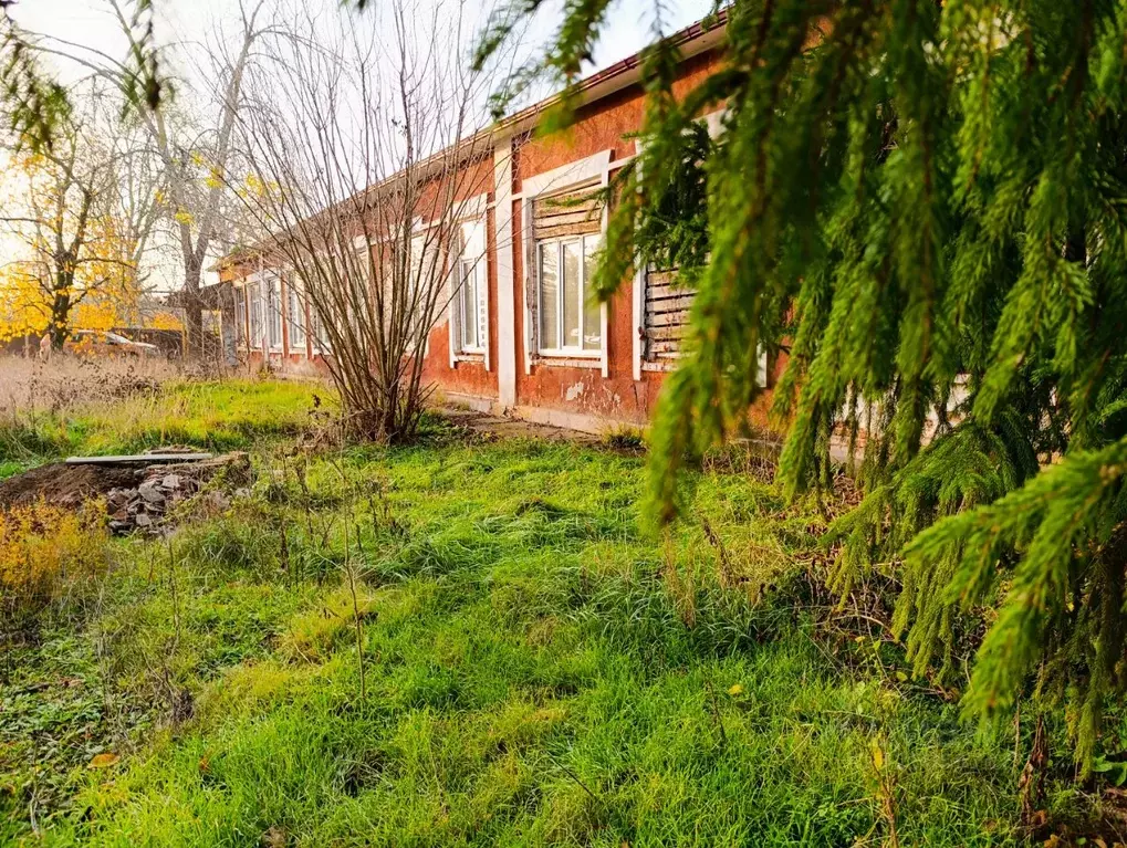 Помещение свободного назначения в Краснодарский край, Ейское с/пос, ... - Фото 1