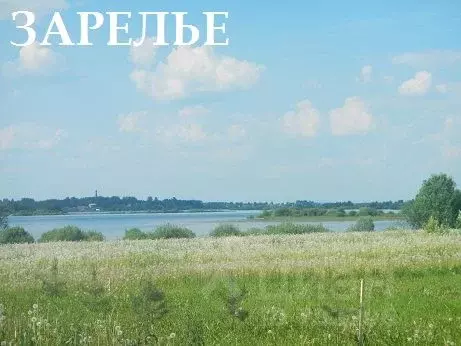 Участок в Новгородская область, Новгородский район, д. Зарелье  (10.0 ... - Фото 0