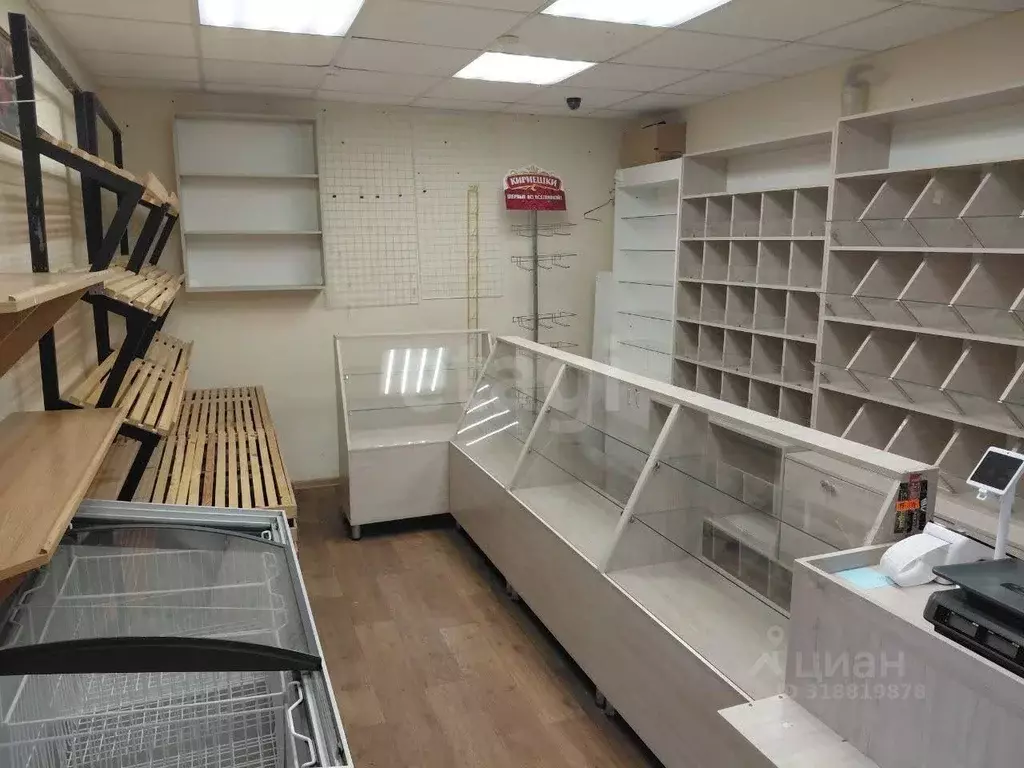 Помещение свободного назначения в Воронежская область, Воронеж ... - Фото 1