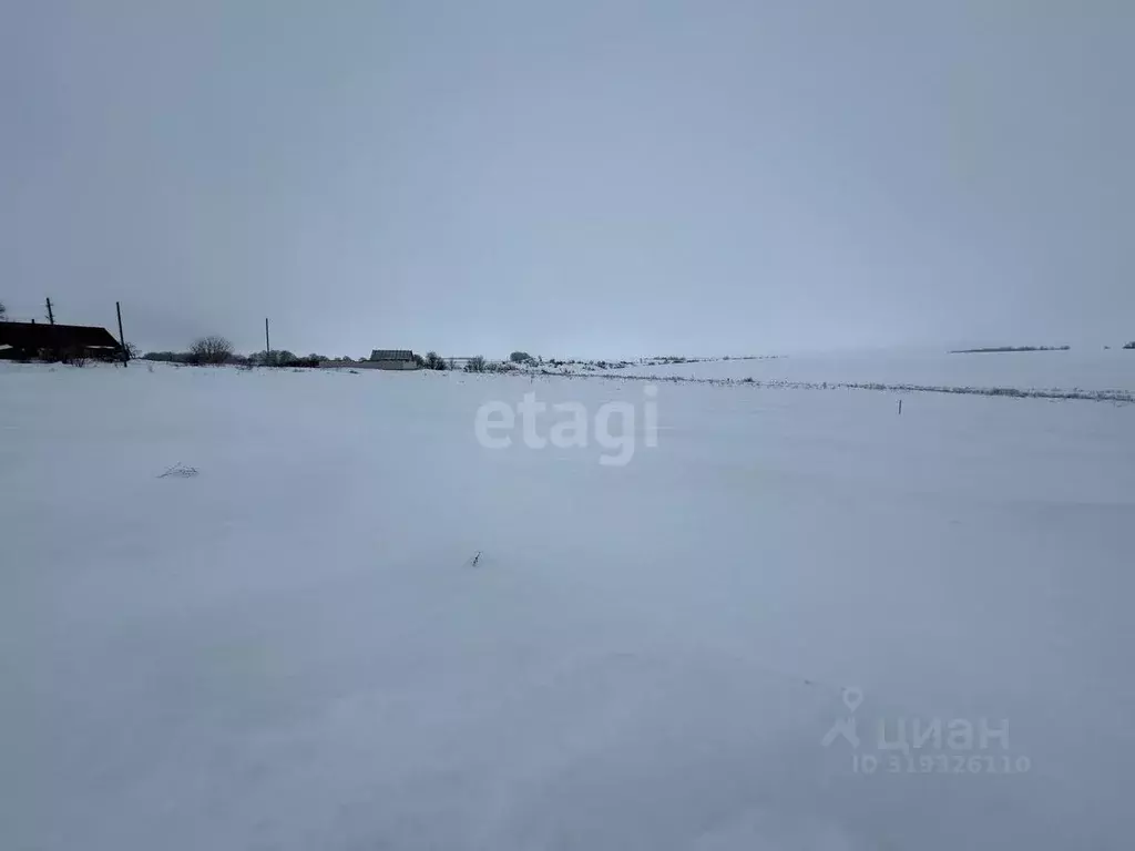 Участок в Липецкая область, Липецкий муниципальный округ, с. Частая ... - Фото 0