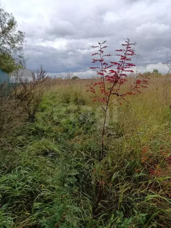 Дом в Воронежская область, Рамонский район, Горожанское с/пос, д. ... - Фото 1