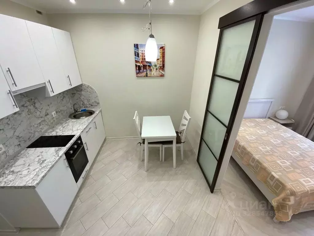 Студия Санкт-Петербург ул. Савушкина, 104 (29.0 м) - Фото 1