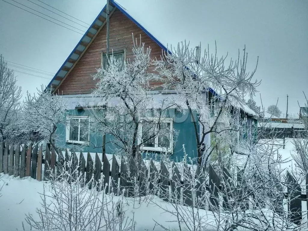 Дом в Новосибирская область, Колыванский район, с. Новотырышкино ... - Фото 1