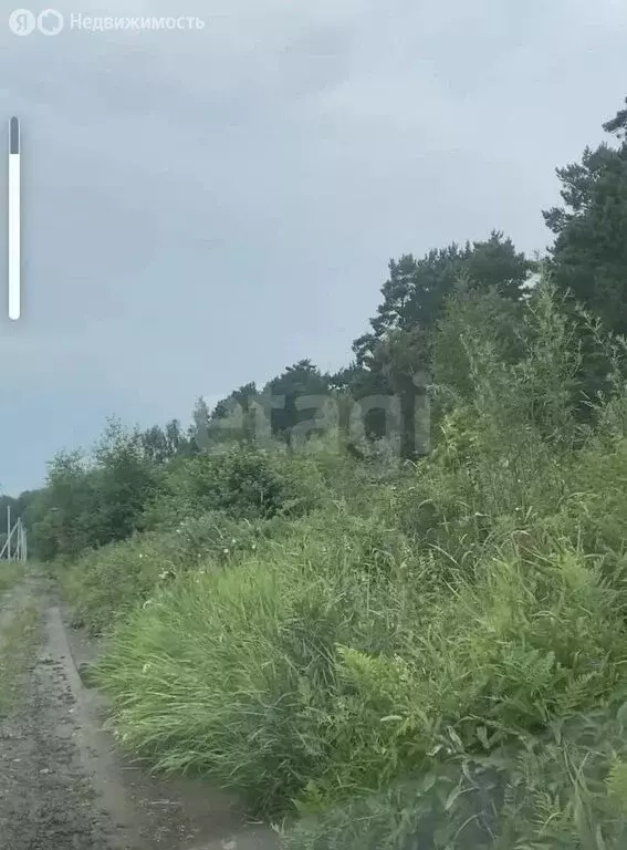 Участок в Томский район, село Яр, микрорайон Озеро Долгое (1100 м) - Фото 2