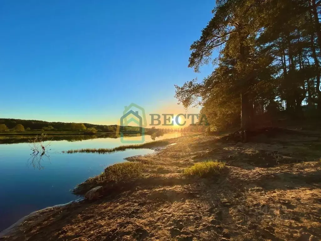 Участок в Ленинградская область, Лужский район, Толмачевское городское ... - Фото 0