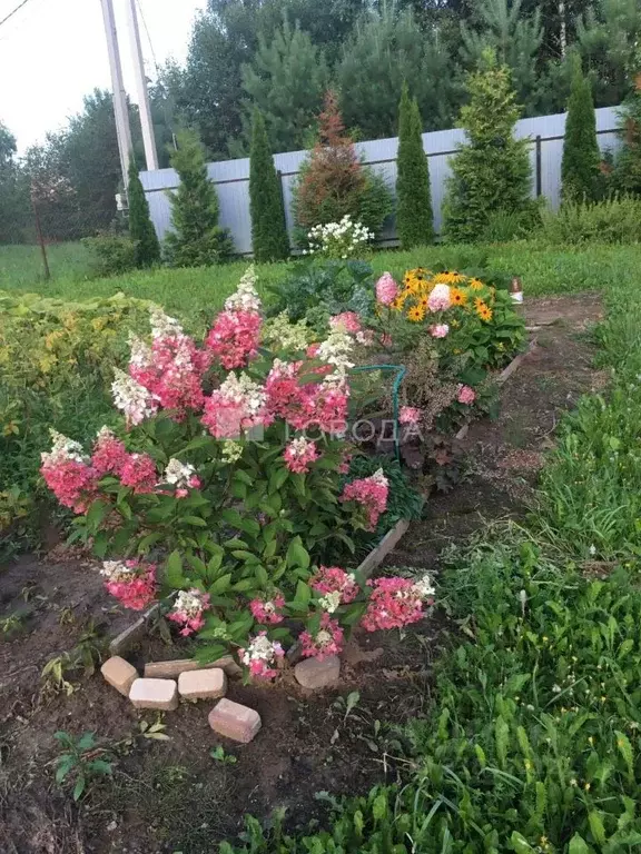 Участок в Московская область, Клин городской округ, Ветеран СНТ 174 ... - Фото 0