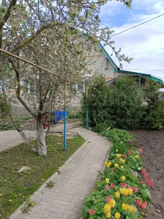 Дом в Новгородская область, Сольцы г. Солецкий муниципальный округ, ... - Фото 0