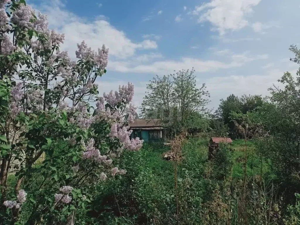 Участок в Кировская область, Юрьянский район, Загарское с/пос, ... - Фото 2