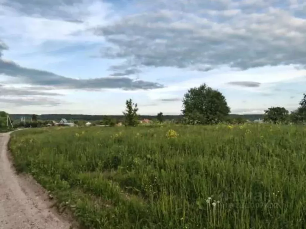Участок в Московская область, Коломна городской округ, с. Васильево  ... - Фото 1