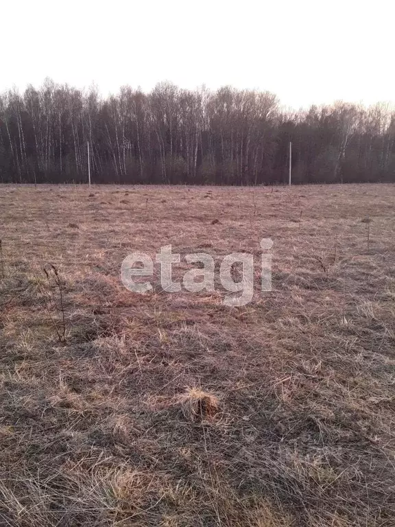 Участок в Калужская область, Калуга городской округ, д. Лихун  (15.0 ... - Фото 2