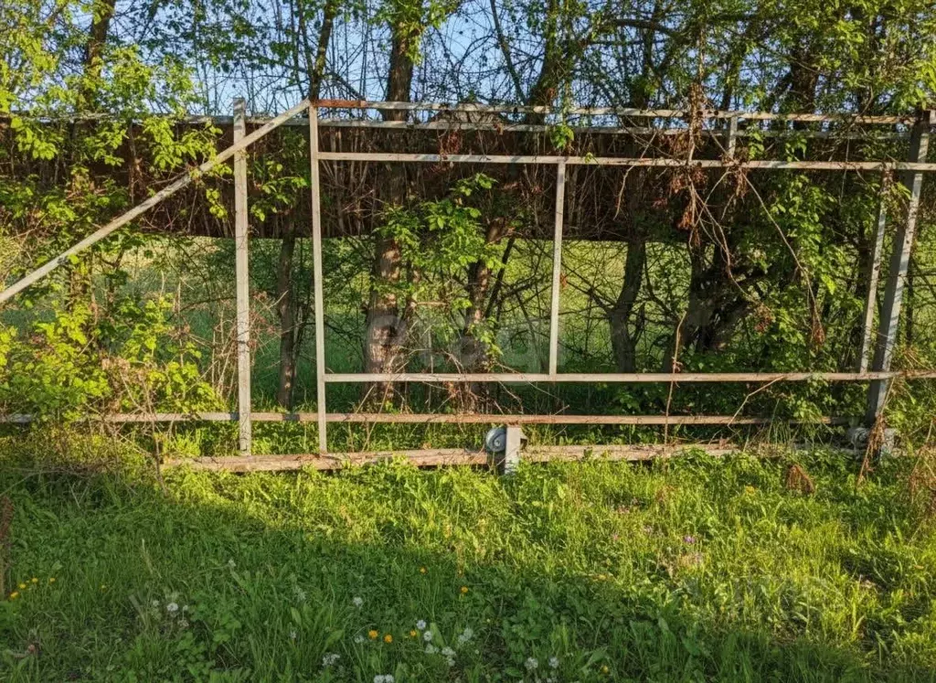 Участок в Новосибирская область, Бердск Вега-4 СНТ, 289 (5.1 сот.) - Фото 1