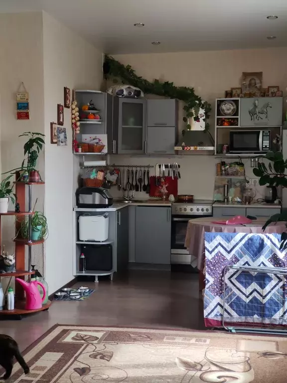Продаётся квартира-студия, 53 м - Фото 1