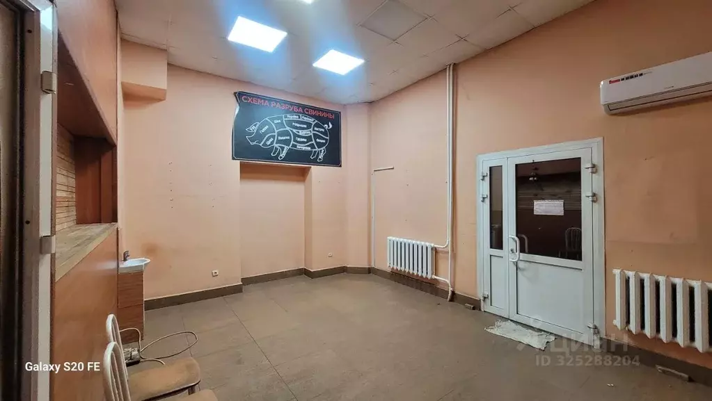 Помещение свободного назначения в Новосибирская область, Новосибирск ... - Фото 1