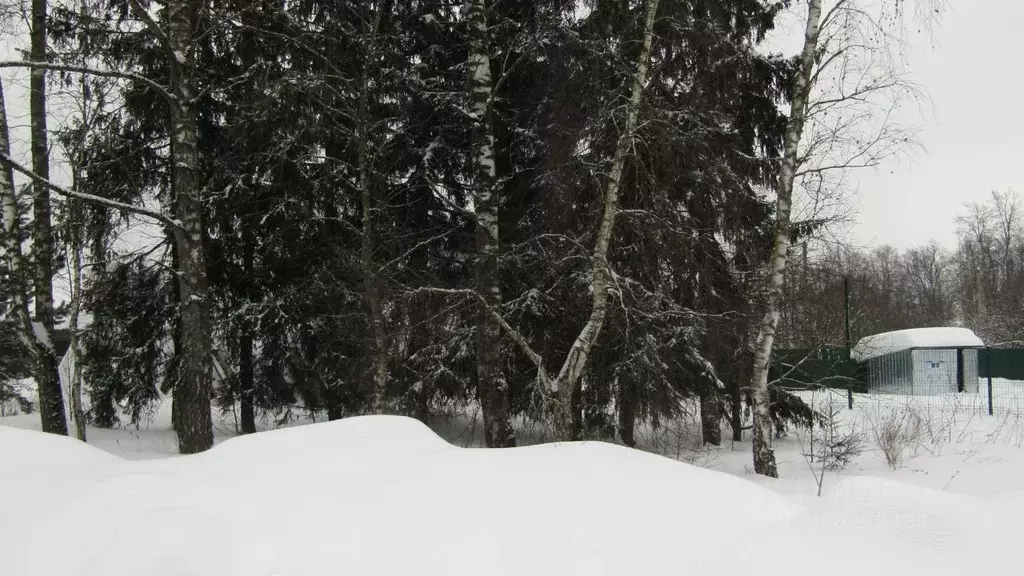 Участок в Московская область, Рузский муниципальный округ, д. ... - Фото 1