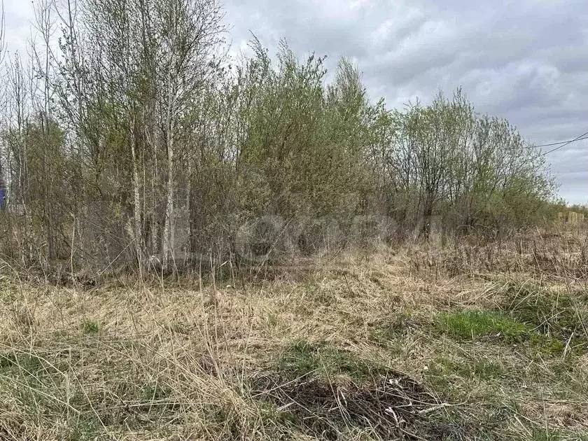 Участок 9 сот. (СНТ, ДНП) - Фото 0