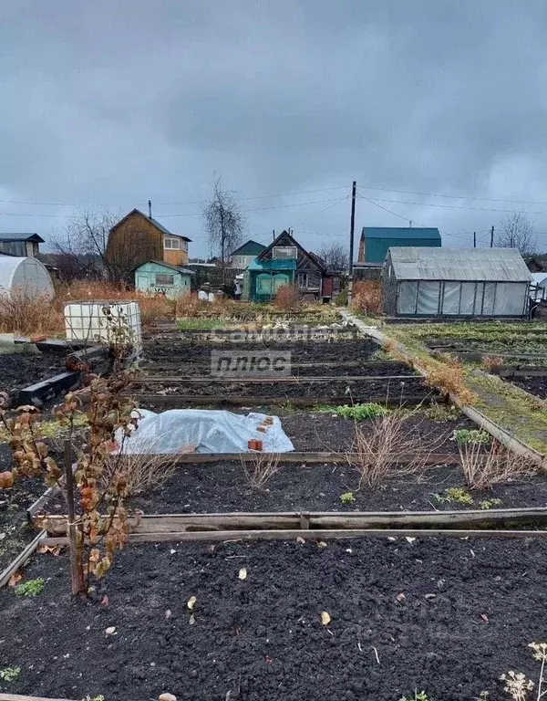 Участок в Свердловская область, Ревда Заречный СОТ,  (6.0 сот.) - Фото 2