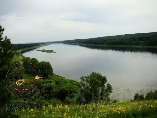 Участок в Кемеровская область, Кемеровский муниципальный округ, с. ... - Фото 0