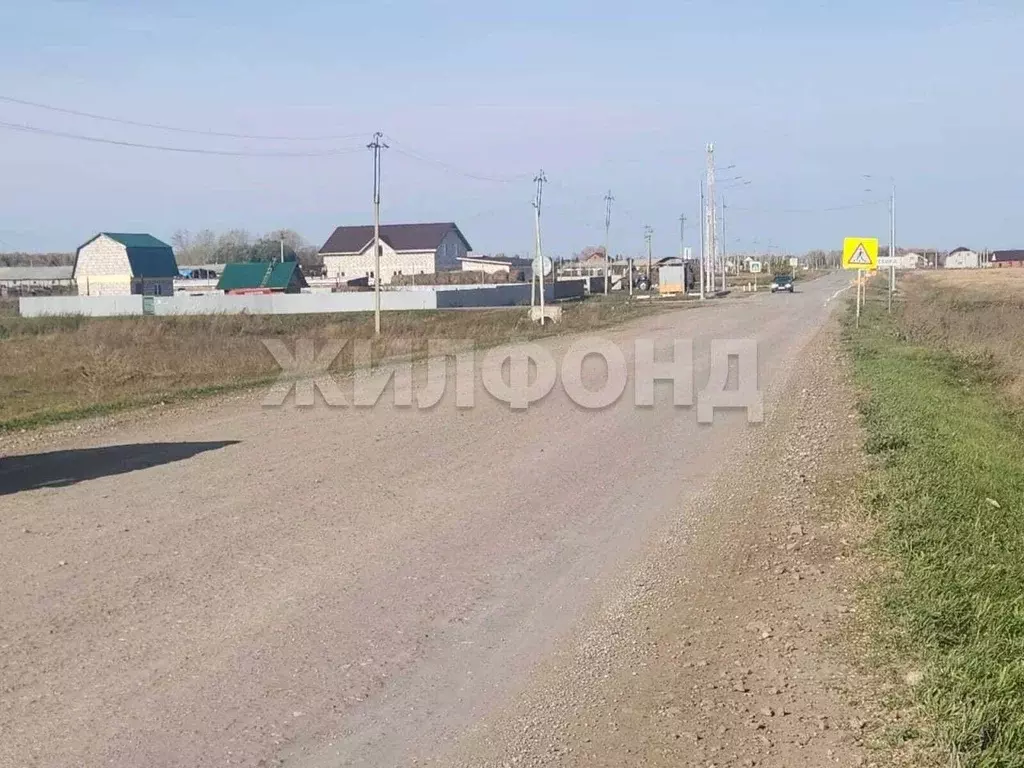 Участок в Новосибирская область, Новосибирский район, Толмачевский ... - Фото 1