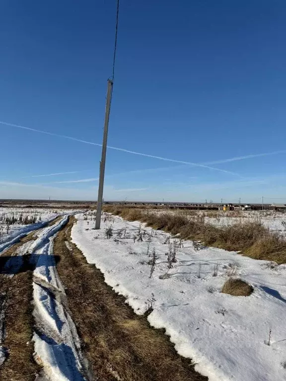 Участок в Омская область, Омское с/пос  (10.0 сот.) - Фото 2