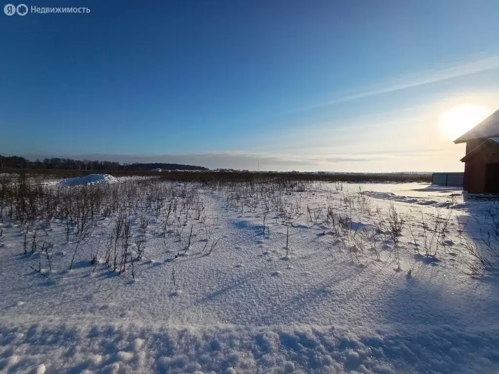 Участок в Лаишевский район, Егорьевское сельское поселение, деревня ... - Фото 2