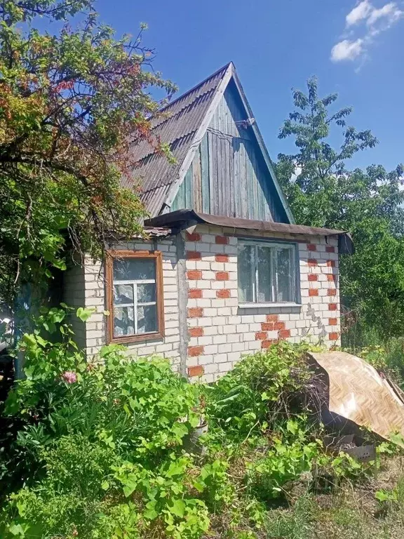 дом в белгородская область, белгородский район, новосадовское с/пос, . - Фото 0