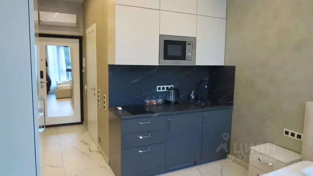 Студия Краснодарский край, Сочи Светлана мкр, ул. Депутатская, 10Б/1 ... - Фото 2