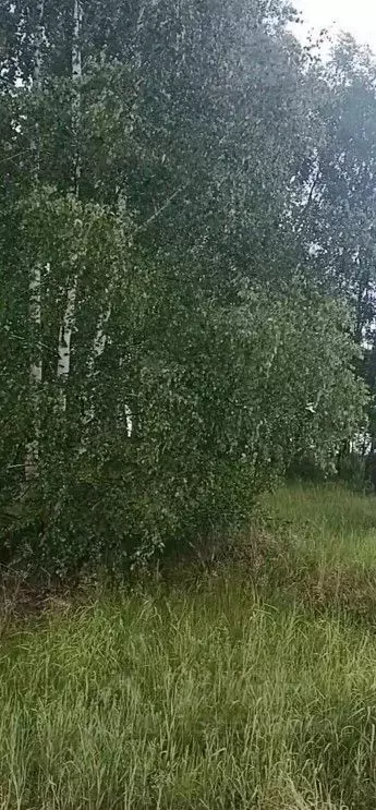 Участок в Московская область, Орехово-Зуевский городской округ, д. ... - Фото 1